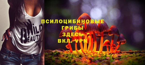 метадон Верея